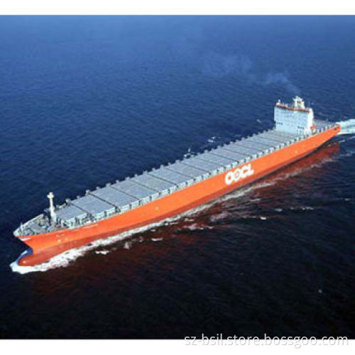 Shenzhen Logistics TranshipmentNew